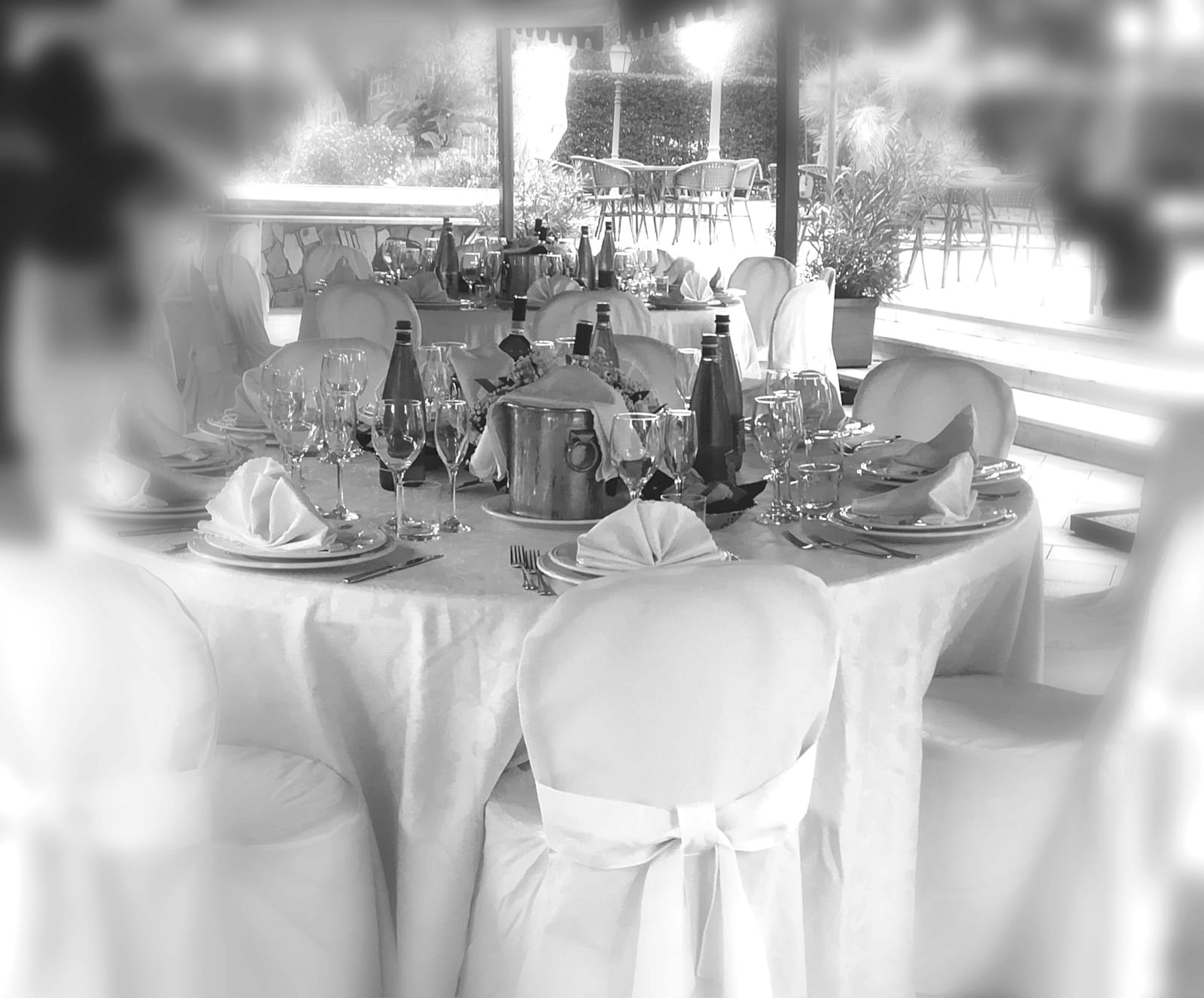  domus eventi roma 