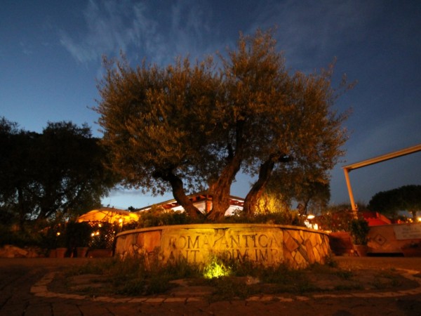  domus eventi roma 